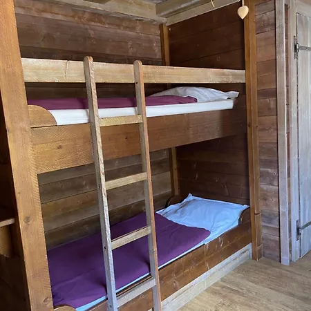 Des Skieurs Hotel 2*